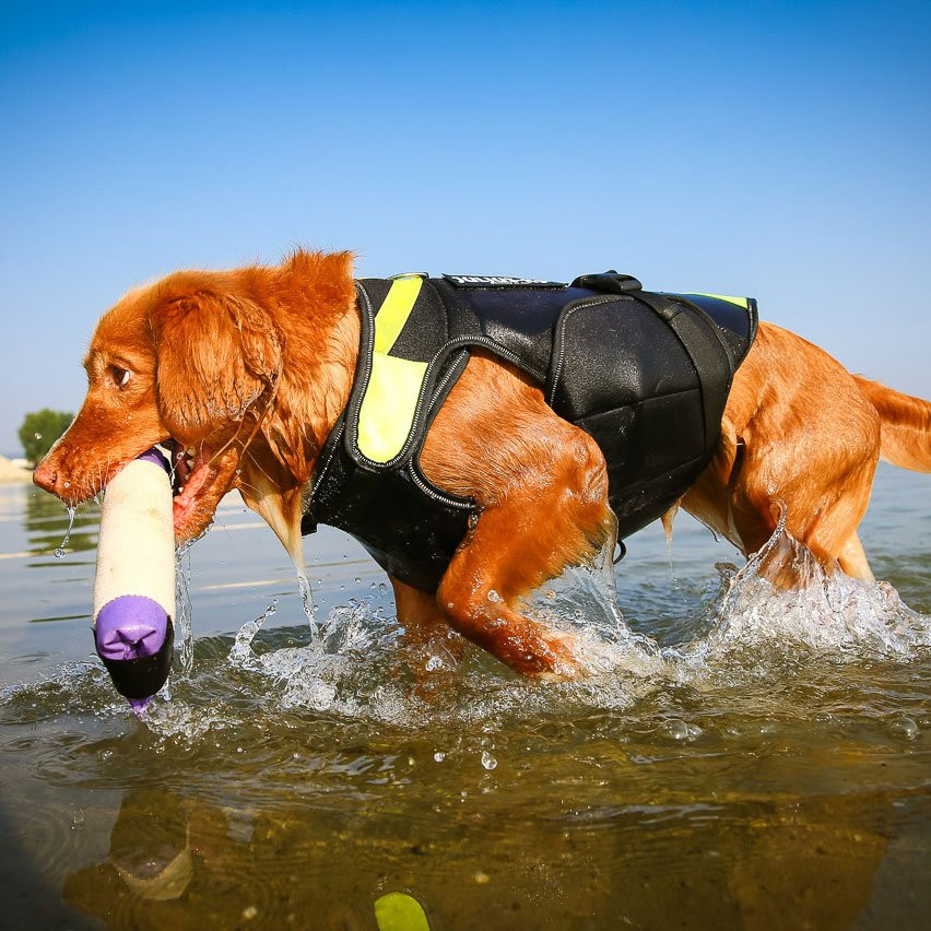 julius k9 multifunctional vest