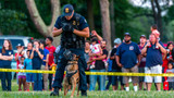 The Importance of K9 Public Relations