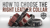 How To Choose A Heavy Leather Agitation Collar