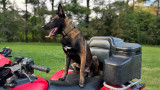 K9 Spotlight: Andrew Hill & Bane