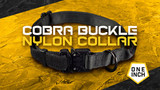 1-Inch Nylon Cobra Buckle Dog Collar- Best Everyday Wear Dog Collar