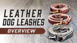 How to Choose a Quality Leather Dog Leash