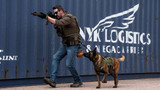 Ray Allen Manufacturing Tactical Dog Trainer Product Videos