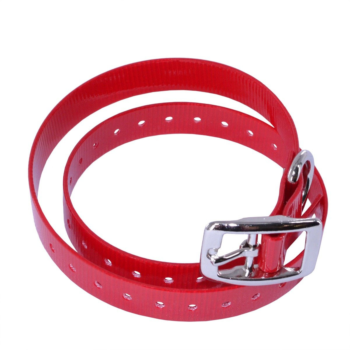 ECollar Straps Weatherproof Dog Collar Ray Allen Manufacturing