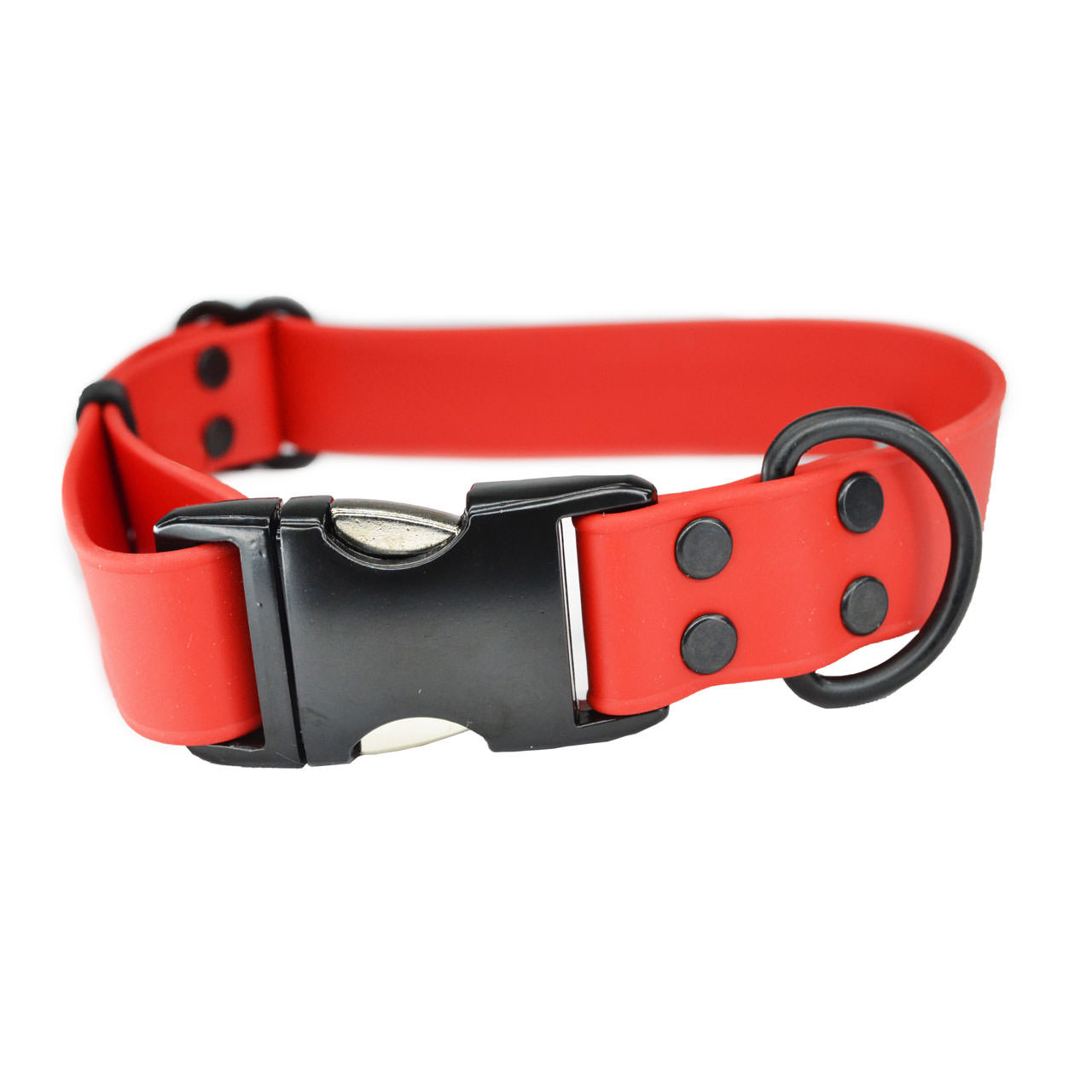 Biothane Adjustable Dog Collar All Weather Use Ray Allen Manufacturing