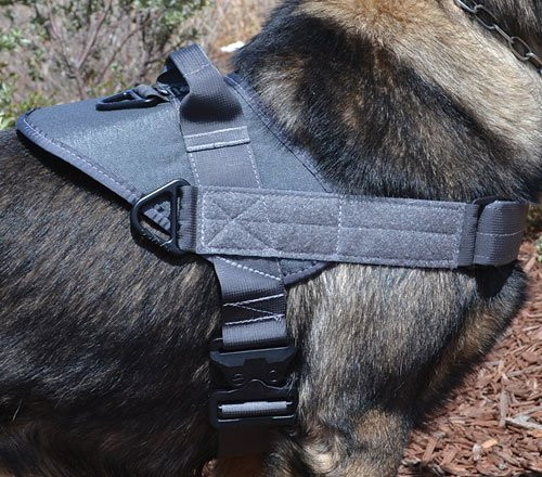 Opportunity Harness Tactical K9 Harness Ray Allen Manufacturing