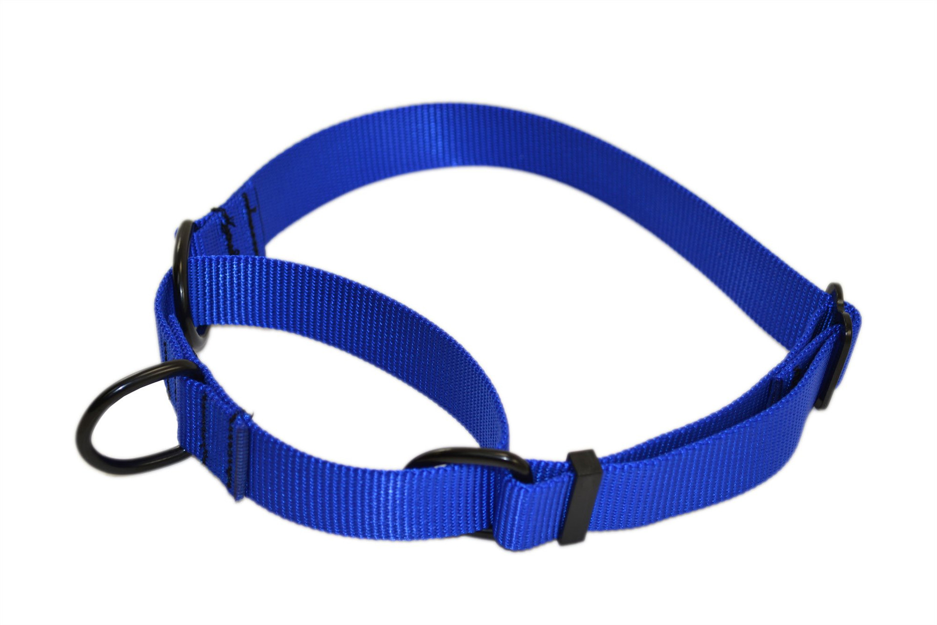 Martingale Nylon Collar K9 Training Collar Ray Allen Manufacturing