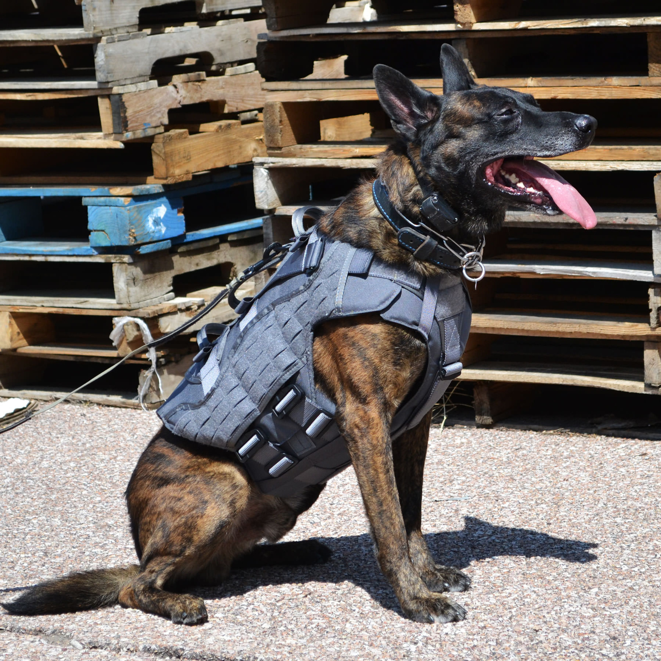 Nomad Ballistic Body™ - Complete Set | K9 Harness - Ray Allen Manufacturing