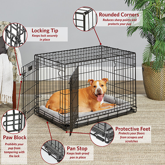 How to Disassemble Dog Crate: Easy Steps for Quick Breakdown
