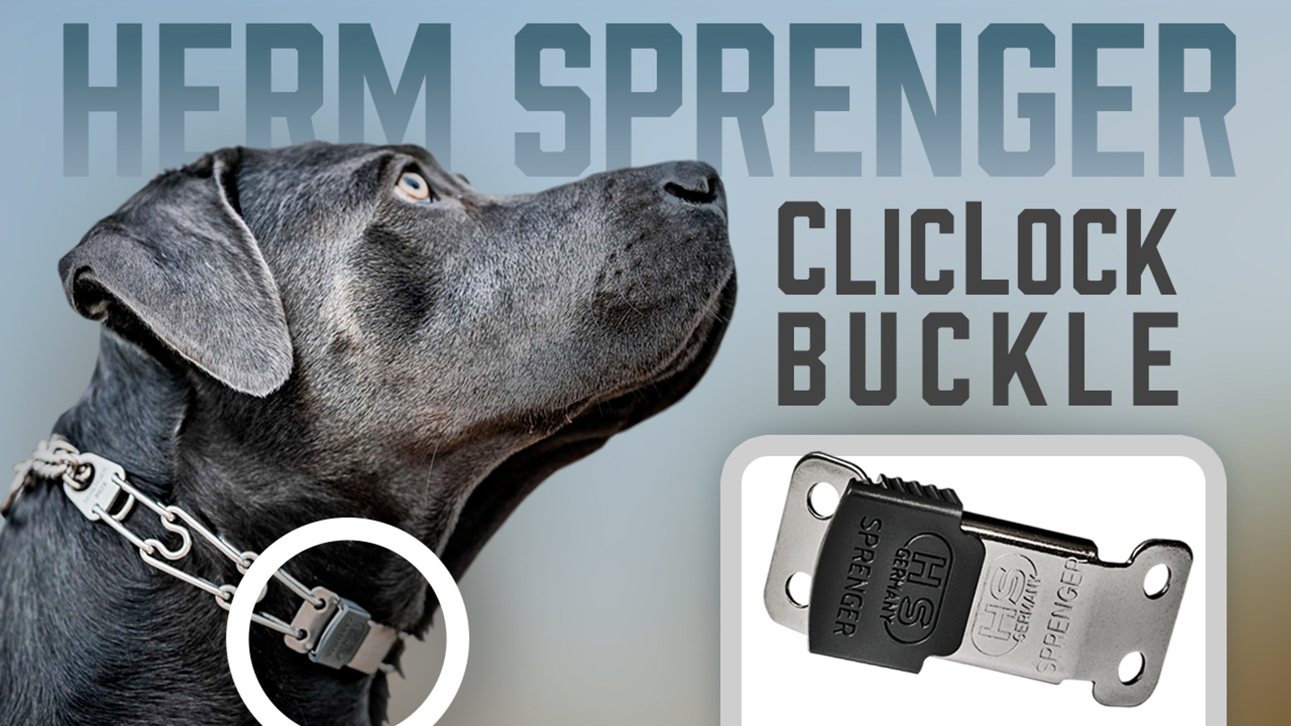 Herm Sprenger ClicLock Buckle Easily Apply & Remove Your Pinch Collar
