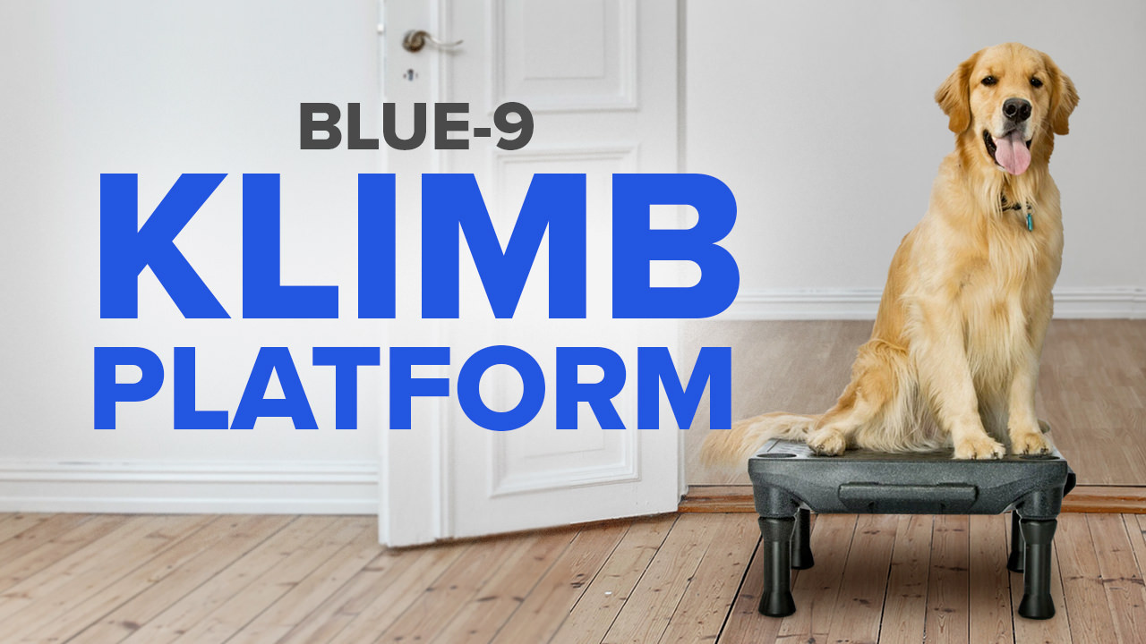 Blue-9 KLIMB Hundetrainingsset – Plattform 60x60 Cm, Mit Gummimatte & Trainingsvideo, Made In USA
