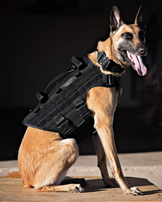 Icon Harness™ | Tactical K9 Harness - Ray Allen Manufacturing