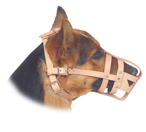 Leather Military Spec Standard Dog Muzzle lifestyle 57-55