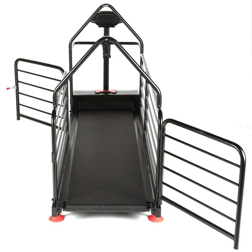 Dog Runner Ortho Pro Treadmill K9 Exercise & Rehabilitation Build