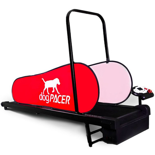 dogPACER LF 3.1 Treadmill main DP100