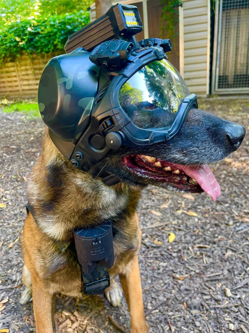 DarkFighter Lightstick Dropper lifestyle DS-DSLSD