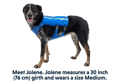 Trail Runner Dog Running Vest lifestyle RU-5080-410S1; RU-5080-410S; RU-5080-410M; RU-5080-410LL1