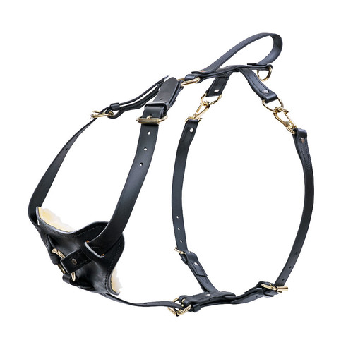 Biothane Multifunction Harness main 3614-BLA-MED,3614-BLA-LAR,3614-BLA-XLG