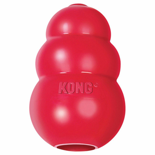 kong aqua dog toy large