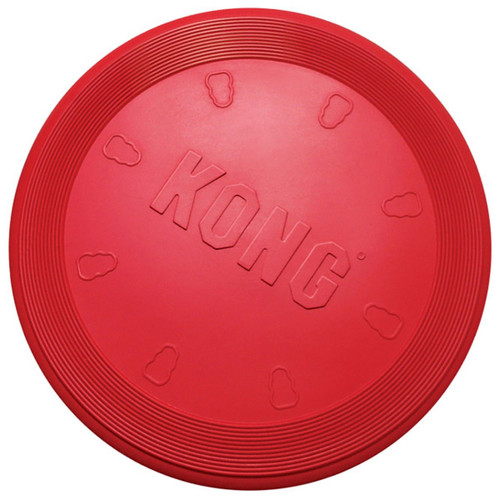 kong aqua dog toy large