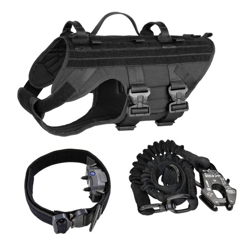 Ray Allen Tactical Kit for Dogtra