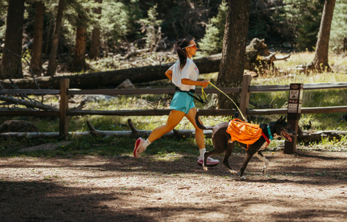 Ruffwear Approach Pack lifestyle RU50102-ORA-M