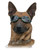 Doggles Eye Protection Replacement Lenses