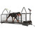 Dog Runner Revolution Pro Treadmill