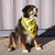 Boundary Bandana lifestyle PEAK-YELLOW