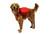 Palisades Pack lifestyle RU-50204-615S1; RU-50204-615S; RU-50204-615M; RU-50204-615LL1