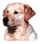 Dog Head Decals alt DH5Y