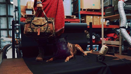 Barkin Bag: Luxury Carry Gear for K9 Handlers