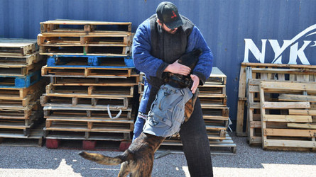 K9 Dog Bite Work Training Guide For Police and Military