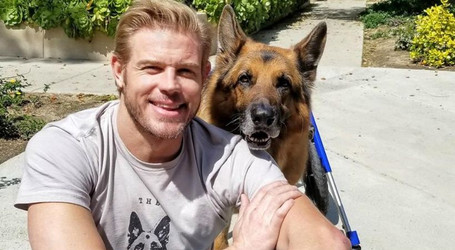 Walkin' Pets and Trevor Donovan Join Forces to Help Retired Police K-9