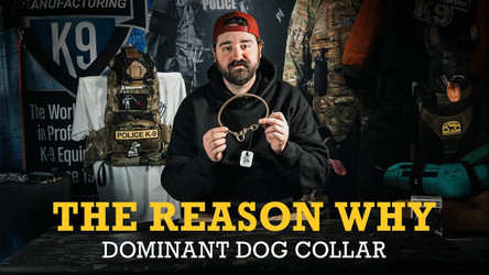 Understanding Dominant Dog Collars: Essential Training Tools for Working Dogs