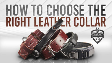 How To Choose A Heavy Leather Agitation Collar