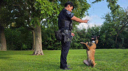 K9 Spotlight: Martin & K9 Pocket