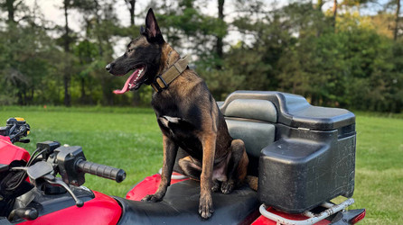 K9 Spotlight: Andrew Hill & Bane