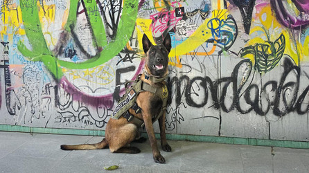K9 Spotlight: Laura Gonzalez & Lukas