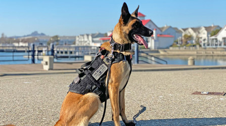 K9 Spotlight: Michael Caragio and K9 Sierra Ot Vitosha