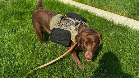 K9 Spotlight: Josie Monnick and Oswald