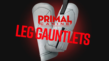 Unleash the Beast: Primal Canine Decoy Leg Gauntlets