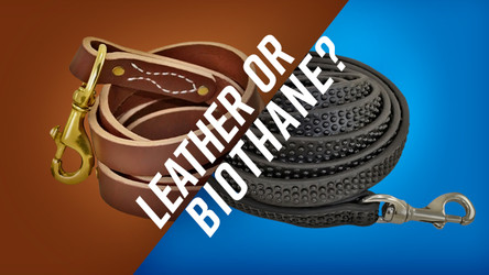 Dog Gear Debate: Leather or Biothane?