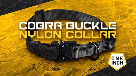 1-Inch Nylon Cobra Buckle Dog Collar- Best Everyday Wear Dog Collar