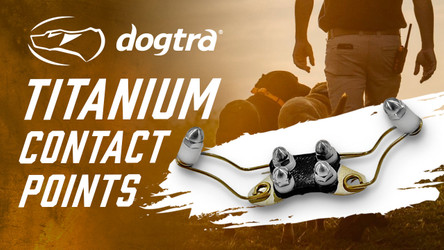 Dogtra Titanium Enhanced Contact Points