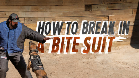 How to Break In & Care for a Bite Suit