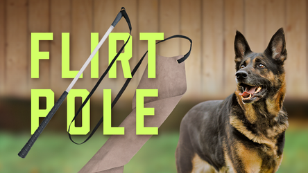 Ray Allen Flirt Pole w/ Suede Lure - Puppy Bite Drive Development