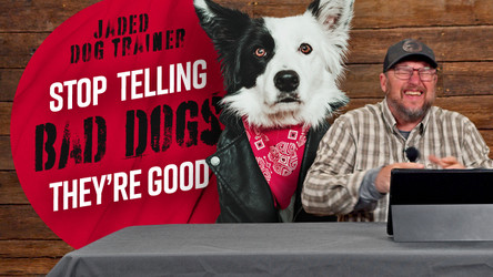The Jaded Dog Trainer: Stop Telling Bad Dogs They're Good!