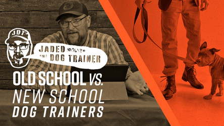 The Jaded Dog Trainer: Old School Vs. New School Dog Trainers