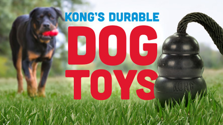 A New Look At The Classic KONG™ Toy For Dogs